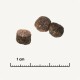 Drie ronde, bruine hondenvoerbrokjes op een lichte achtergrond, met een liniaal die 1 cm aangeeft voor maatreferentie.