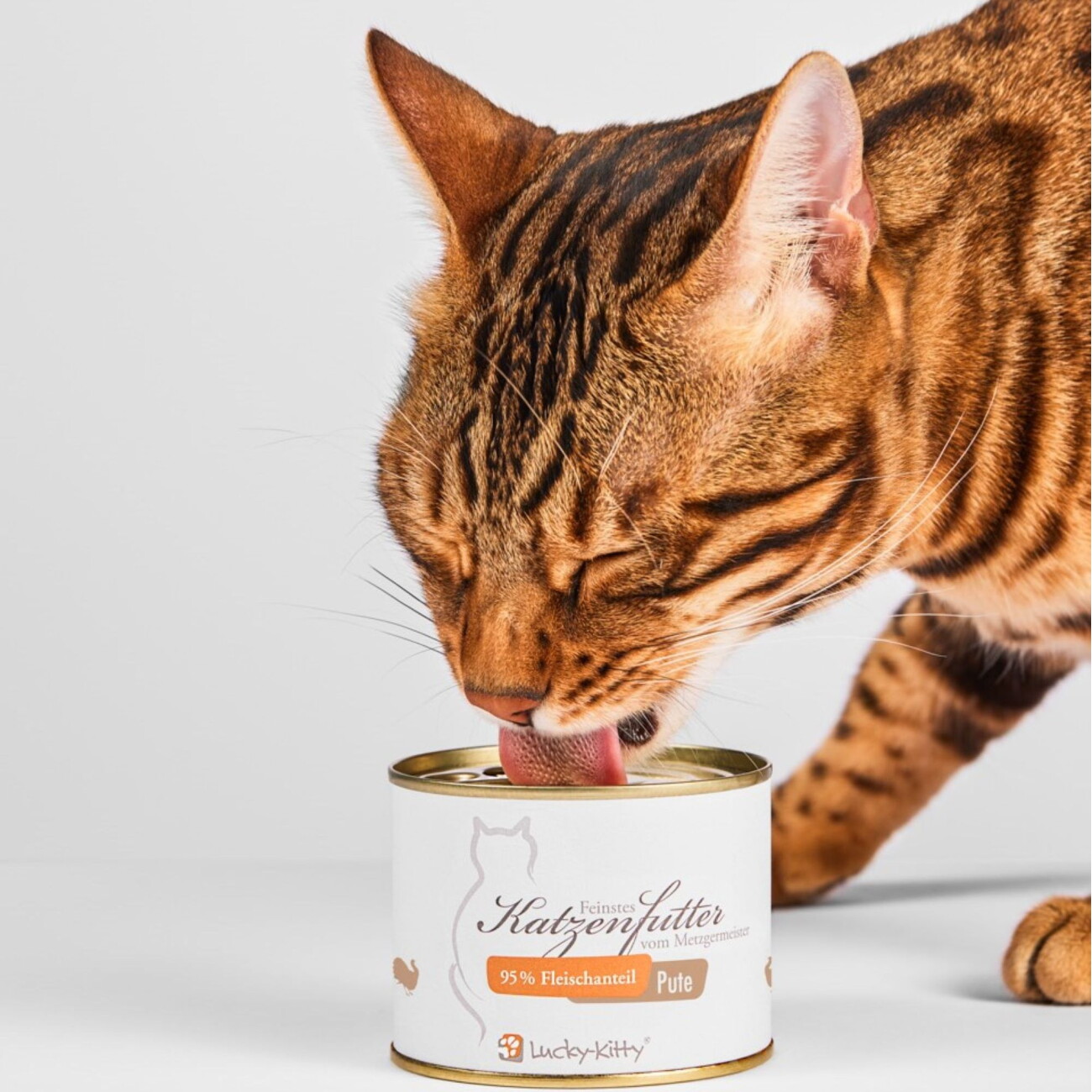 Lucky-Kitty Katzenfutter Pute 16x200 g
