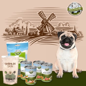 Mops Futter Set