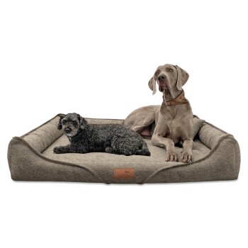 Zwei Hunde, ein kleiner schwarzer Pudel-Mix und ein großer grauer Weimaraner, entspannen zusammen auf einem plüschigen, grauen Hundebett mit einem Lederetikett.