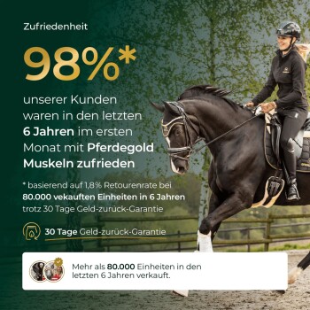 Reiter auf schwarzem Pferd neben einer grünen Anzeige mit der Aufschrift '98% Zufriedenheit', 'Pferdegold Muskeln', '30 Tage Geld-zurück-Garantie' und '80.000'.