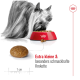 Ein kleiner Hund mit langem Haar frisst aus einer roten Schüssel, die mit Trockenfutter gefüllt ist. Der Text lautet 'Extra kleine & besonders schmackhafte Krokette.'