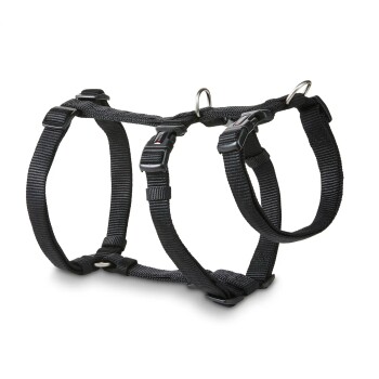 Schwarzes verstellbares Nylon-Hundegeschirr mit Schnellverschluss-Schnallen und Metall-D-Ringen vor weißem Hintergrund.