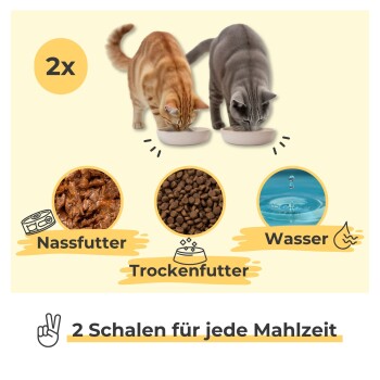 Zwei Katzen, eine orangefarbene getigerte und eine graue, essen aus Schalen, die mit Futter und Wasser beschriftet sind.