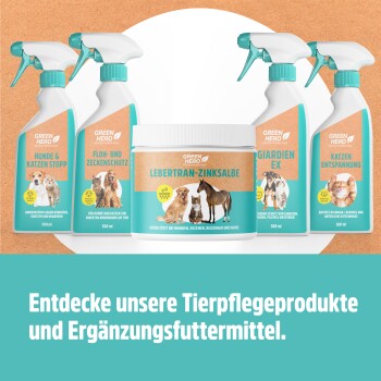 GREEN HERO Tierpflege-Sprays und Dose mit der Aufschrift 'LEBERTRAN-ZINKSALBE', Floh-/Zeckensprays und Entspannungs-Sprays für Katzen, deutscher CTA-Banner