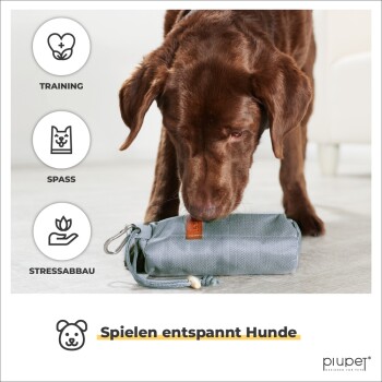Ein brauner Hund schnüffelt an einem grauen Haustierspielzeug auf einem hellen Boden, mit Symbolen für Training, Spaß und Stressabbau, und dem Text 'Spielen entspannt Hunde.'
