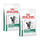 Zwei Taschen von Royal Canin Veterinary Diet, beschriftet mit "Satiety Weight Management", mit einer Katzenillustration auf jeder Tasche.