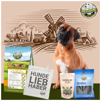 Boxer Futter Set