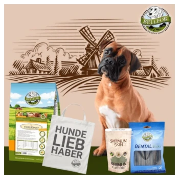 Ein brauner Boxerhund sitzt vor einer Farmkulisse mit einer Windmühle und präsentiert das Hundefutter BELLEFOR sowie andere Haustierprodukte.