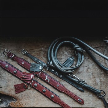 Eine Sammlung stilvoller Hundehalsbänder und Leinen in verschiedenen Farben, darunter Burgunderrot und Grau, auf einer Holzoberfläche präsentiert.