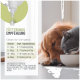 Ein Golden Retriever und eine graue Katze essen aus Schalen auf einem Holzboden, mit einer deutschen Fütterungstabelle, die die täglichen Dosierungen nach Haustiergewicht zeigt.