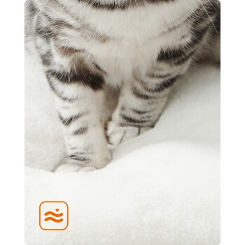 Nahaufnahme der Pfoten einer gestreiften Katze, die auf einer weichen, weißen Decke ruhen, mit einem orangefarbenen Symbol mit gewellten Linien und einem Herz in der Ecke.