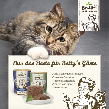 Eine verspielte Katze ruht neben zwei Dosen von Betty's Katzenfutter, mit einem Teller Futter und Text, der hochwertige Zutaten und die Herstellung in Deutschland hervorhebt.