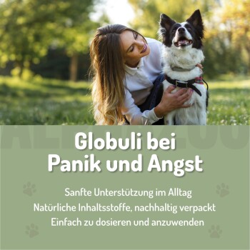 Flasche "Panik Stop" Bachblüten für Hunde und Katzen, als alkoholfrei und natürlich gekennzeichnet, mit einem Etikett, das "Pflanze für den Planeten" bewirbt.