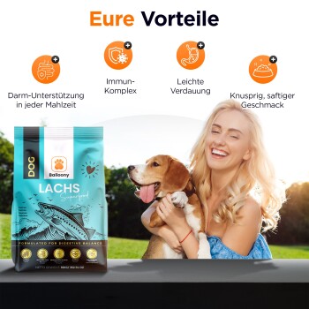 German Shephy Hundefutter Lachs 500 g
