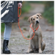 Person in schwarzen Stiefeln und Mantel hält eine orangefarbene Leine, die an einem sitzenden hellbraunen Hund auf einem Kiesweg draußen befestigt ist.