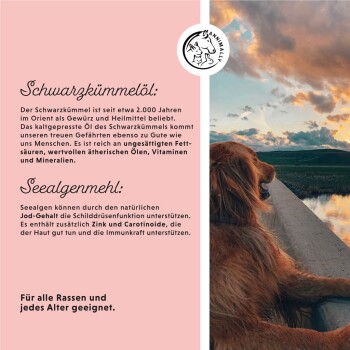 Bild eines Golden Retrievers, der neben einem Gewässer sitzt, mit Text über die Vorteile von Schwarzkümmelöl und Algenmehl für Haustiere.