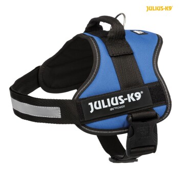 Blaues Julius-K9 IDC Power Hundegeschirr mit einem schwarzen Riemen, reflektierenden Elementen und einer stabilen Schnalle.