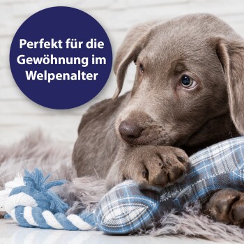 3x Zahnpflege Finger-Bürsten