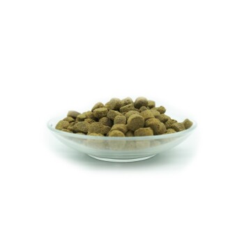 Eine klare Glasschüssel, gefüllt mit kleinen, runden, braunen Tierfutterpellets, vor einem weißen Hintergrund.