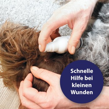Eine Person, die ein Spray auf den Kopf eines Hundes aufträgt, mit dem Text 'Schnelle Hilfe bei kleinen Wunden' auf einem runden blauen Hintergrund.