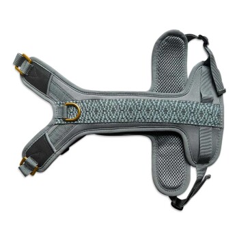 Grau Haustiergeschirr mit gepolstertem Mesh-Futter und verstellbaren Riemen, mit einem Metall-D-Ring zur Leinenbefestigung.