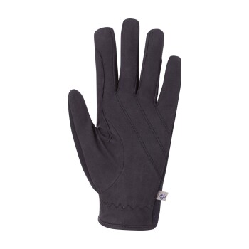 Schwarze Haustierpflegehandschuh mit strukturiertem Handflächen und genähten Details, vor einem weißen Hintergrund präsentiert.