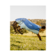 Ein Pferd, das eine blau-weiße Rambo-Decke trägt, springt verspielt in einem grasbewachsenen Feld, mit Bäumen und Hügeln im Hintergrund.