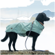 Ein schwarzer Hund, der einen hellblauen wasserdichten Mantel trägt, steht auf einer felsigen Oberfläche, mit einer angeleinten Leine, vor einem verschwommenen Außenhintergrund.