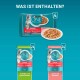 Purina ONE "Sterilcat" Katzenfutterverpackung mit einer Schale für Nassfutter. Der Text hebt die Geschmäcker hervor: "Truthahn und grüne Bohnen" und "Lachs und Karotten."