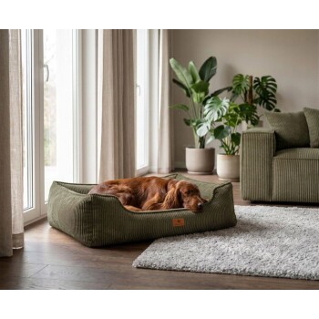 Rötlich-brauner Hund schläft in einem olivgrünen Cord-Bolster-Hundebett mit Lederpatch mit der Aufschrift ‚KNUFFELWUFF‘.