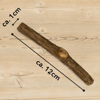 Ein natürlicher Holzstock, etwa 12 cm lang und 1 cm breit, auf einem hellen Holzuntergrund präsentiert.