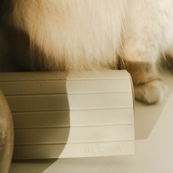 Ein flauschiger Katzenschwanz ruht auf einem beigen Haustierfutterbehälter mit der Aufschrift "THE CATERY", wobei sanftes Licht die Szene hervorhebt.