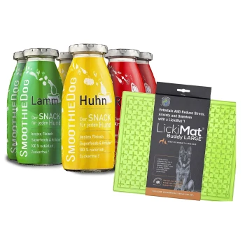 Klassik + Lickimat Grün 6x250 g Vier bunte Smoothie-Flaschen mit der Aufschrift 'SmoothieDog' in grün (Lamm), gelb (Huhn) und rot, neben einer grünen LickiMat Buddy LARGE für Hunde.
