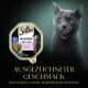 Eine graue Katze leckt sich die Lippen neben einer Sheba Katzenfutterverpackung mit der Aufschrift "Delikatesse in Gelee mit Lachs."
