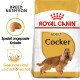 Royal Canin Adult Cocker Hundefutterbeutel mit goldenem Hintergrund, der einen Cocker Spaniel zeigt und Text zur rassespezifischen Ernährung enthält.