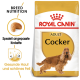 Royal Canin Adult Cocker Hundefutterbeutel mit goldenem Hintergrund, der einen Cocker Spaniel zeigt und Text zur rassespezifischen Ernährung enthält.