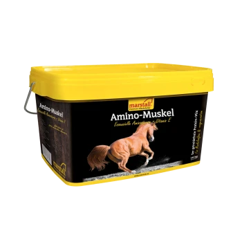 Behälter mit marstall Amino-Muskel Pferdeergänzung, mit einem Bild eines galoppierenden Pferdes, mit Text, der essentielle Aminosäuren und Vitamin E hervorhebt.