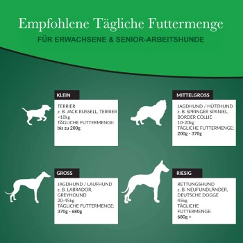 Tabelle der täglichen Futtermenge für erwachsene und ältere Arbeitshunde nach Größe: klein, mittel, groß und riesig, mit Rassen und Gewichtsspannen.