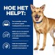 Een blije, gezonde hond met een blauwe halsband staat naast tekst die de voordelen van een huisdiervoeding product beschrijft, waaronder verbeterde spijsvertering en energieniveaus.