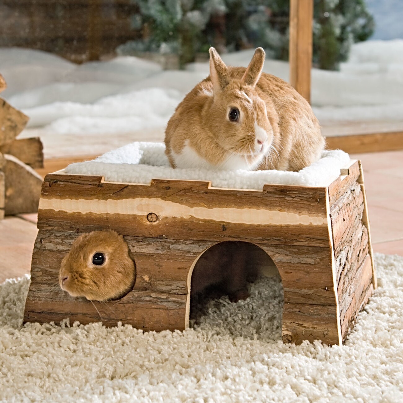 Trixie - Maison, sans clou, lapins nains, en bois, 40 × 20 × 23 cm