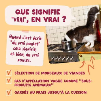 Bannière de magasin pour animaux : chat sur une cuisinière mangeant dans une casserole ; texte français « QUE SIGNIFIE 'VRAI', EN VRAI ? » et note sur le vrai poulet et la sélection de viandes.