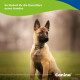 Welpe sitzt im Gras, deutscher Text „So fördert ihr die Darmflora eures Hundes“ und ‚Canina‘-Logo sichtbar.