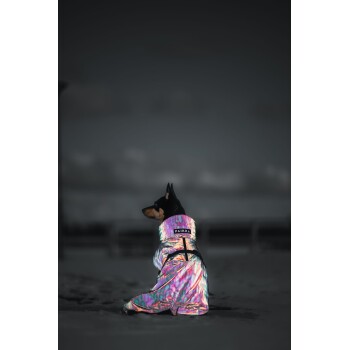 Ein Hund trägt einen bunten, reflektierenden Regenmantel mit dem Markennamen "PAIKKA" am Kragen und sitzt vor einem dunklen Hintergrund.