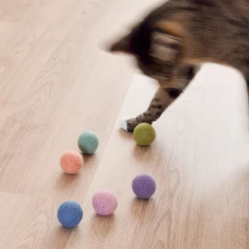 Eine Reihe von sechs bunten Filzkugeln in Pastellfarben von Orange, Pink, Lila, Blau, Gelb und Grün, in einer Linie angeordnet.