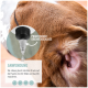Eine Nahaufnahme eines Hundesohres mit einer Tropfflasche darüber, mit Text in deutscher Sprache über die Anwendungshinweise und einem praktischen Drehverschluss.