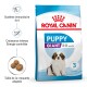 Giant Chiot Croquettes Chien 15 kg