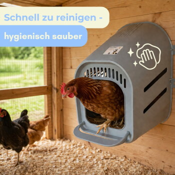 Braune Henne in grauer, an der Wand montierter Nistbox in einem Holzstall mit anderen Hennen; Text: 'Schnell zu reinigen - hygienisch sauber'.