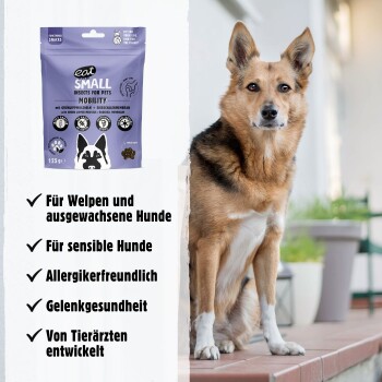 Ein Hund sitzt neben Snacks "Eat SMALL Insects for Pets", die Mobilität, Gelenkgesundheit und allergiefreundliche Vorteile für alle Hunde fördern.