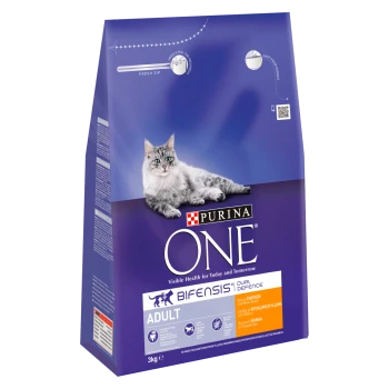 Purina ONE cat food bag, 3kg, featuring a fluffy gray cat on the front, labeled "Bifensis Dual Defence" and "Rich in Chicken."